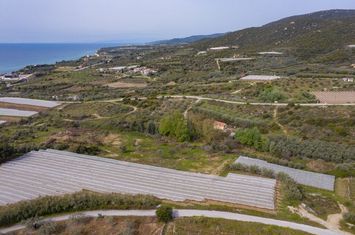 Teren construibil 5.188 mp, Paralia Elaiochoriou anunturi imobiliare Grecia