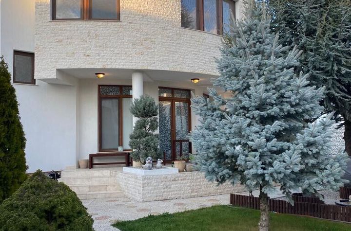 Vanzare vila strada Mesteacanului Otopeni anunturi imobiliare Bucuresti
