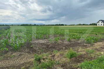 Teren de vanzare FRATAUTII VECHI - Suceava anunturi imobiliare Suceava