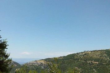 Teren construibil 2.500 mp în Mikros Prinos anunturi imobiliare Grecia
