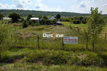 Casă - 5 camere de vanzare STANCA (COMARNA) - Iasi anunturi imobiliare Iasi