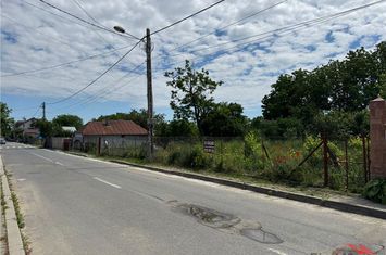 Teren Intravilan de vanzare SUD - Vrancea anunturi imobiliare Vrancea