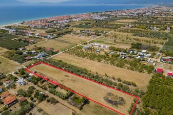 Teren 4608 mp, Paralia Ofriniou, 500 m de mare anunturi imobiliare Grecia