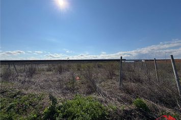 Teren Intravilan de vanzare EXTERIOR NORD - Vrancea anunturi imobiliare Vrancea