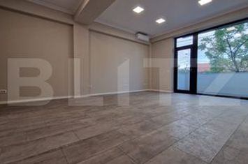 Apartament 6 camere de inchiriat IOSEFIN - Timis anunturi imobiliare Timis