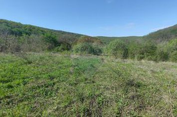 Teren de vis în Stejeriș – utilități, natură, acces rapid! anunturi imobiliare Cluj