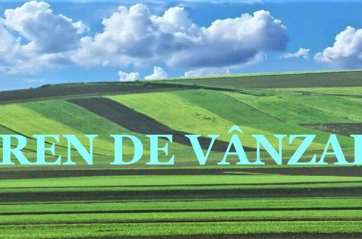 Teren Intravilan de vanzare DUMBRAVITA - Timis anunturi imobiliare Timis