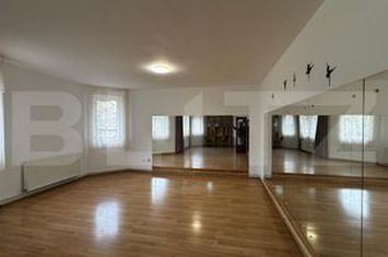 Vilă - 8 camere de vanzare CETATE - Alba anunturi imobiliare Alba