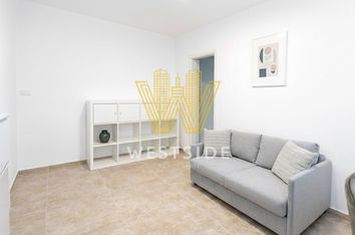 Apartament premium de inchiriat, cu 2 camere, in Braytim anunturi imobiliare Timis