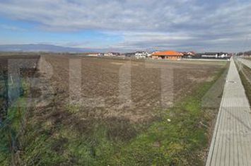 Teren de vanzare CIUGUD - Alba anunturi imobiliare Alba