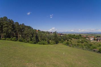 Teren Intravilan de vanzare SACELE - Brasov anunturi imobiliare Brasov
