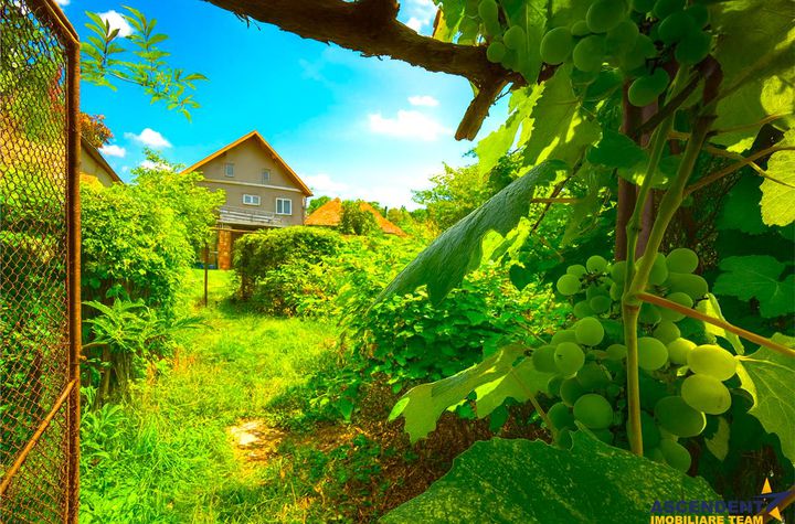 Vilă - 4 camere de vanzare TOMIS 4 - Constanta anunturi imobiliare Constanta