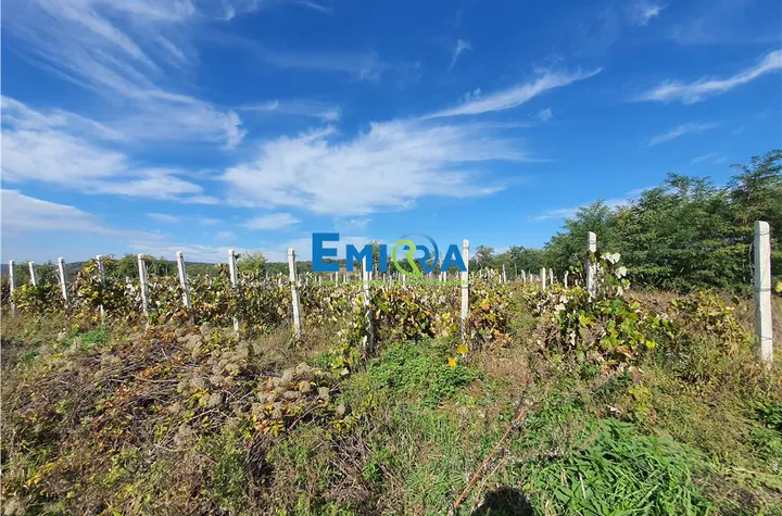 Teren Intravilan de vanzare HEMEIUS - Bacau anunturi imobiliare Bacau