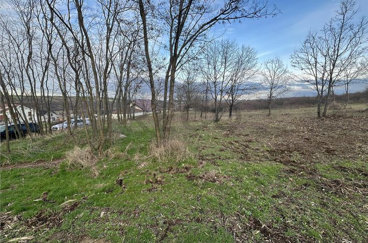 Teren Intravilan de vanzare PALEU  - Bihor anunturi imobiliare Bihor