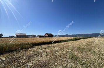 Teren Intravilan de vanzare CRISTIAN - Sibiu anunturi imobiliare Sibiu