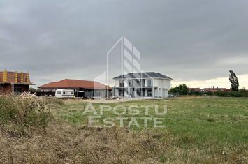 Parcela 707 mp in Sacalaz langa cartierul Primaverii anunturi imobiliare Timis