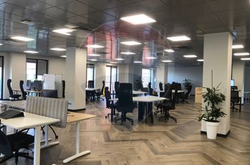 Spațiu de birouri (500 mp) - zona ultracentrala anunturi imobiliare Cluj