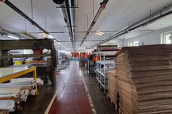 Spațiu industrial de inchiriat SEBES - Alba anunturi imobiliare Alba