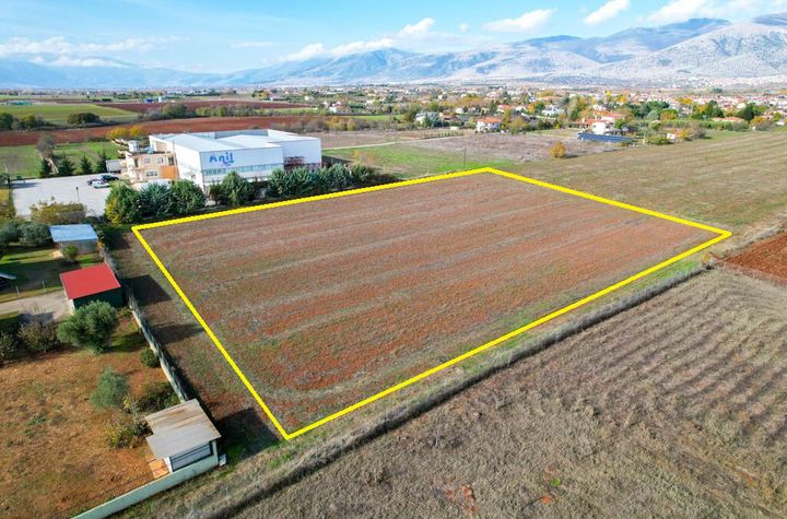 Teren construibil 7425 mp în Nea Kromni anunturi imobiliare Grecia
