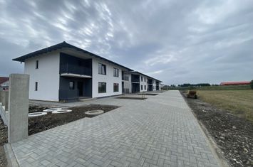 Vilă - 4 camere de vanzare RADAUTI - Suceava anunturi imobiliare Suceava