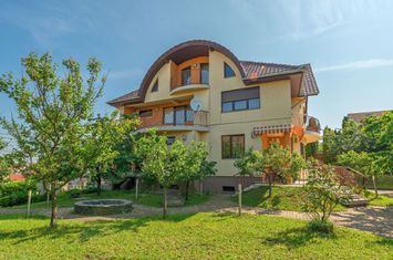 Cartier Europa, VILĂ 550 mp, LOT 1.006 mp anunturi imobiliare Cluj