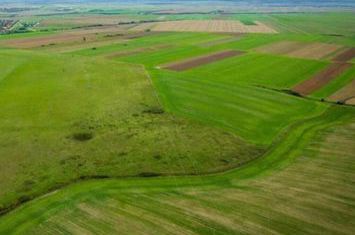 Teren agricol 5ha Giarmata langa Antena Radar anunturi imobiliare Timis