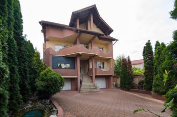 Vilă - 9 camere de vanzare ROLAST - Arges anunturi imobiliare Arges