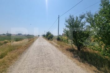 Teren de vanzare GHERCESTI - Dolj anunturi imobiliare Dolj