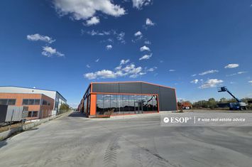 Spațiu industrial de inchiriat PANTELIMON - Bucuresti anunturi imobiliare Bucuresti