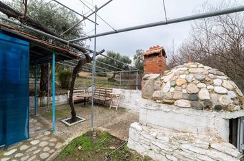 Teren agricol 3.710 mp în Astrida, Thassos anunturi imobiliare Grecia