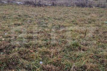 Vilă - 5 camere de vanzare ZARNESTI - Brasov anunturi imobiliare Brasov