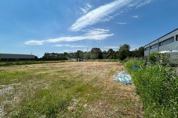 TEREN DN 1A //BOLDESTI - SCAENI anunturi imobiliare Prahova