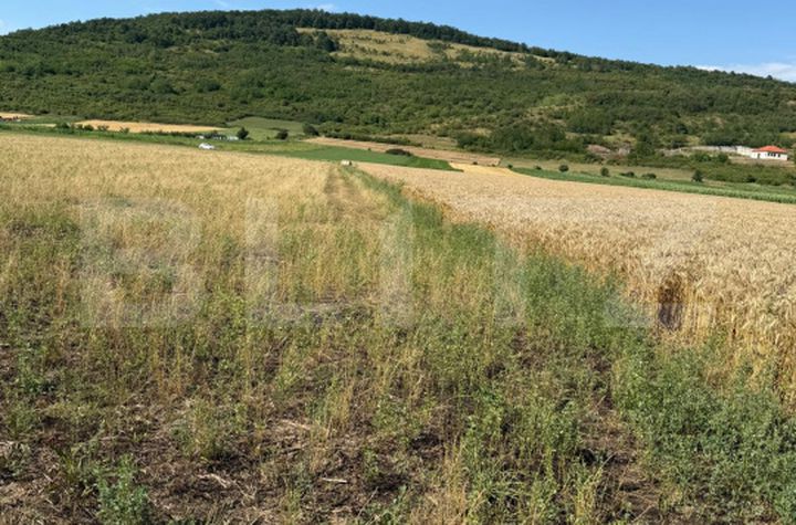 Teren de vanzare SOIMUS - Hunedoara anunturi imobiliare Hunedoara
