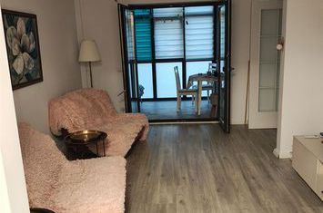 Apartament 2 camere de vanzare ALEEA TUDOR NECULAI - Iasi anunturi imobiliare Iasi