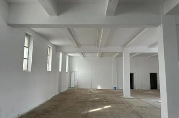 Spațiu industrial de vanzare BRESTEI - Dolj anunturi imobiliare Dolj