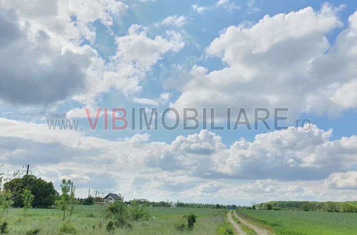 Izvorani Snagov, langa padure , zona de vile noi anunturi imobiliare Bucuresti