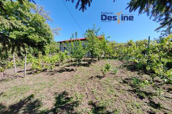 Casă - 6 camere de vanzare IASI - Iasi anunturi imobiliare Iasi