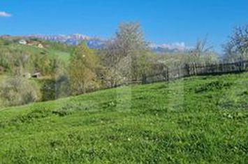 Vilă - 6 camere de vanzare MAGURA - Brasov anunturi imobiliare Brasov