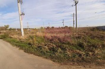 Teren la Asfalt cu utilități alături (Curent & Gaz) lângă București anunturi imobiliare Bucuresti