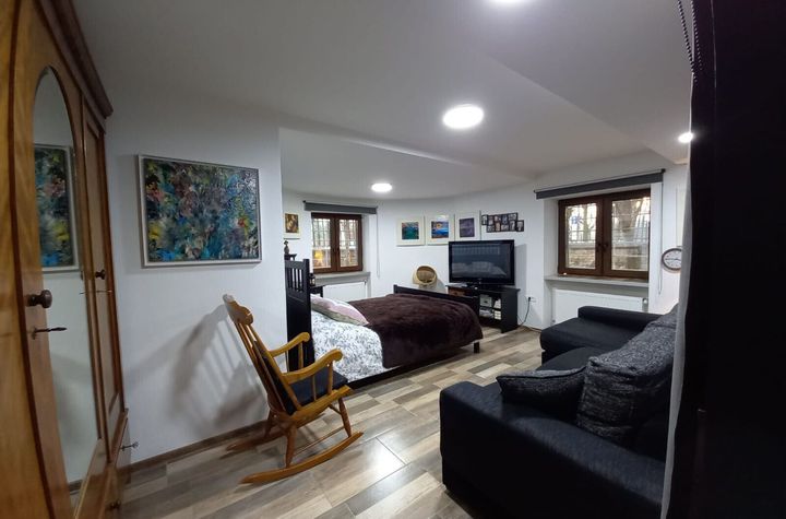 Apartament central la demisol înalt anunturi imobiliare Timis