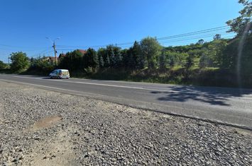 Teren 6.400 mp. cu deschidere de 58 m la E 60 anunturi imobiliare Mures