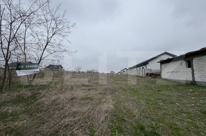 Teren de vanzare MALU MARE - Dolj anunturi imobiliare Dolj