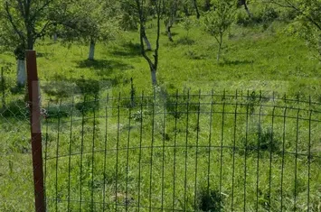 Teren de vanzare STREMT - Alba anunturi imobiliare Alba