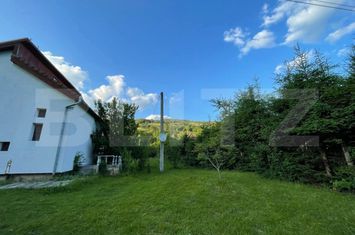 Casă - 5 camere de vanzare VIDRA - Alba anunturi imobiliare Alba