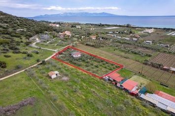 Teren agricol 1.500 mp cu casă 55 mp în Nea Peramos anunturi imobiliare Grecia