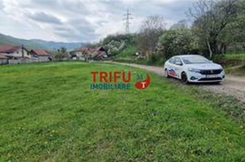 Teren Intravilan de vanzare AMPOITA - Alba anunturi imobiliare Alba