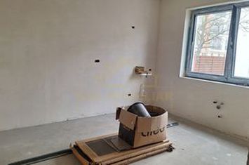 CASA INDIVIDUALA P+1+POD-250 MP TEREN anunturi imobiliare Bucuresti