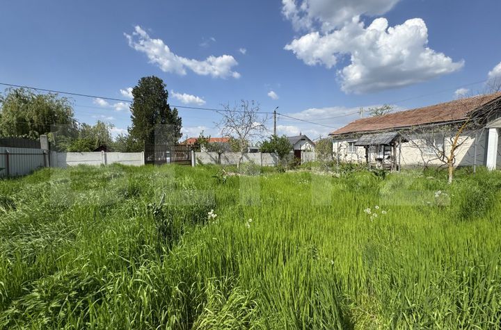 Teren de vanzare BUCOVAT - Dolj anunturi imobiliare Dolj