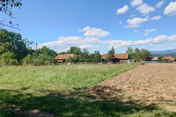 Teren Intravilan de vanzare BAIA DE CRIS - Hunedoara anunturi imobiliare Hunedoara