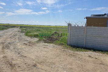 TEREN INDUSTRIAL - CERNICA/FUNDENI -  PUZ APROBAT anunturi imobiliare Bucuresti